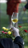 Vin : Les hommes d’affaires français investissent de plus en plus dans le vin 