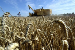 France : Les prix agricoles en très forte hausse 