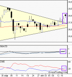 Haulotte Group : Sortie de triangle