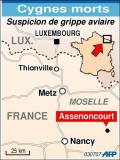 La grippe aviaire menace à nouveau
