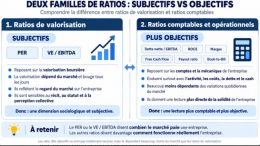 Analyse fondamentale : deux familles de ratios très différents